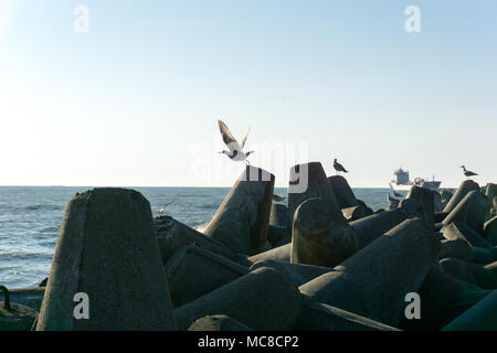 Brise-lames en béton à Klaipeda port jetée à gates Banque D'Images