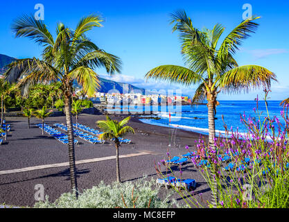 Puerto de la Cruz, Tenerife, Canaries, Espagne : célèbre plage Playa Jardin de sable noir dans une belle journée Banque D'Images