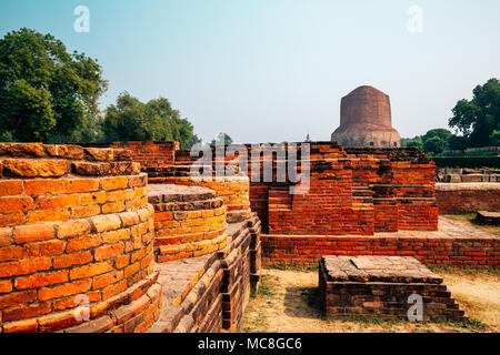 Dhamekh Stoupa s Sarnath anciennes ruines à Varanasi, Inde Banque D'Images