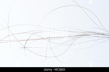 Macro de femme noirs frisés cheveux isolé sur fond blanc Banque D'Images