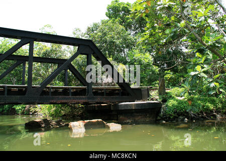 Un pont en treillis avec le soutien de pipeline qui s'étend sur plus de la rivière Bentota dans la forêt tropicale au Sri Lanka Banque D'Images