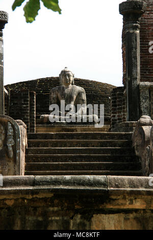 Bouddha assis dans le Vatadage de l'ancienne ville royale de Polonnaruwa au Sri Lanka Banque D'Images