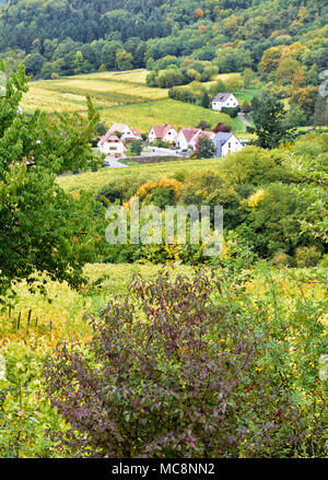 Un avis, à la fin de l'été, de l'arbre feuillu couverts paysage près de Riquewihr en Alsace, France. Banque D'Images