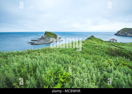 La vie japonaise, des paysages et des temples Photo : Alessandro Bosio/Alamy Banque D'Images