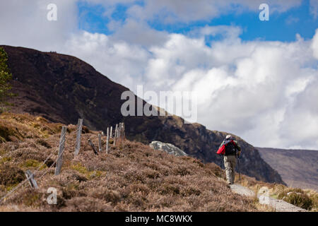 Man avec pôle trekking sur un essai de marche randonnées la Spinc ridge à Glendalough montagnes dans le Parc National des Montagnes de Wicklow Irlande Banque D'Images