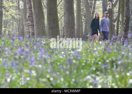 Les gens marchent en Wanstead Park dans la forêt d'Epping, East London. Banque D'Images