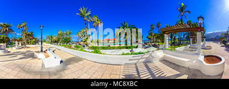 Puerto de la Cruz, Tenerife, Canaries, Espagne : palm tree Promenade jardins près de Lago Martianez Banque D'Images