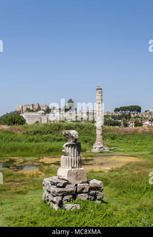 Ruines du temple d'Artémis à Éphèse, l'ancienne ville située en Turquie. Banque D'Images