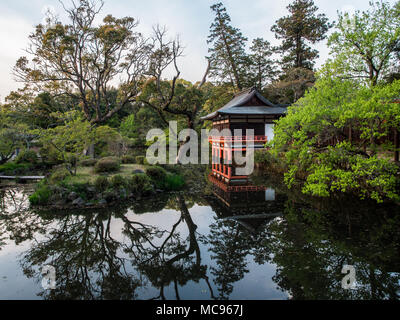 Nogakuden et réflexion, Usa Jingu, Oita, Kyushu, Japon Banque D'Images