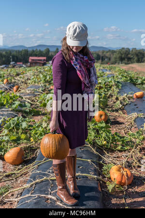 Femme Balance Pumpkin sur l'après-midi ensoleillé de citrouille Banque D'Images