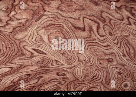 Motif de fond en bois exotique naturel Banque D'Images