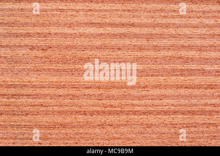 La texture du bois de teck Banque D'Images