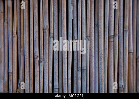 Mur de la pile de tubes de bambou fond de bois Banque D'Images