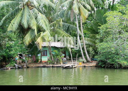 Maison familiale et des cocotiers au bord de l'eau d'une rivière près de Bentota, Sri Lanka Banque D'Images