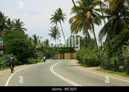 L'autoroute de Colombo à Galle, bordée de cocotiers le long de la route. Bentota, Sri Lanka Banque D'Images