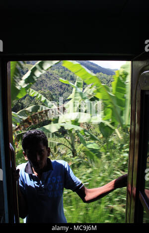 Prendre un tour de train panoramique d'Ella à Kandy, passant des bananiers. Homme debout dans la porte ouverte de l'élévateur. Banque D'Images