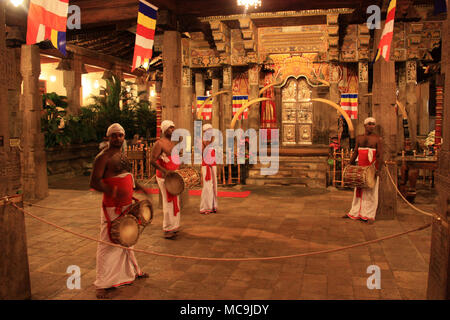 Batteurs pendant un culte cérémonie au temple de la Dent à Kandy, Sri Lanka Banque D'Images