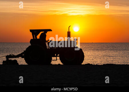 Un tracteur est découpé sur le lever tôt le matin car elle efface la plage de sable d'algues apportés par la marée haute à Hollywood, en Floride. Banque D'Images