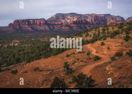 Vue panoramique sur Chuck Wagon Trail avec La Montagne Secrète et diverses formations de roche rouge dans la distance, Sedona, Arizona Banque D'Images