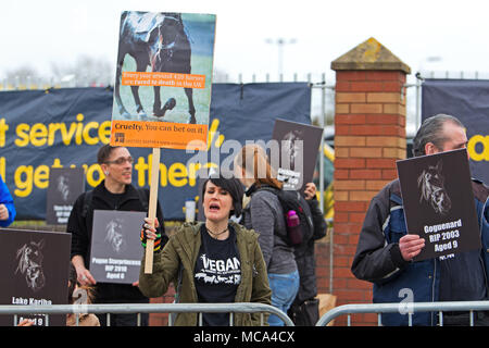 , Aintree Liverpool, UK, 14 avril 2018. Les membres du groupe des droits des animaux, une démonstration au Grand National, Santé Randox, Aintree Liverpool. Credit : Ken biggs/Alamy Live News Banque D'Images