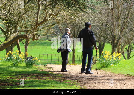 Ascott, Buckinghamshire, 14 avril 2018. Météo France : Les visiteurs apprécient les jonquilles et fleurs de printemps à l'Ascott, nr Wing, España le samedi 14 avril 2018 Photo de Keith Mayhew Banque D'Images