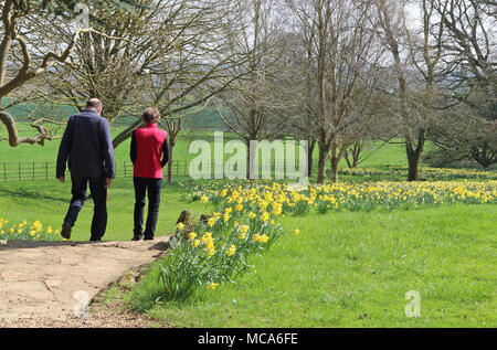 Ascott, Buckinghamshire, 14 avril 2018. Météo France : Les visiteurs apprécient les jonquilles et fleurs de printemps à l'Ascott, nr Wing, España le samedi 14 avril 2018 Photo de Keith Mayhew Banque D'Images