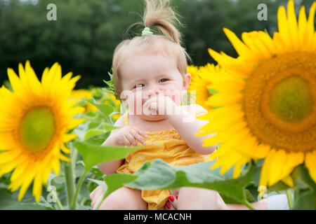 Bébé fille de 10 mois dans un champ de tournesols, France Banque D'Images