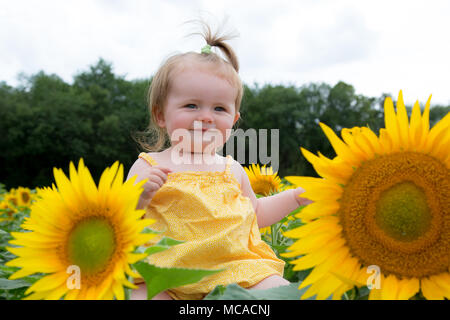 Bébé fille de 10 mois dans un champ de tournesols, France Banque D'Images