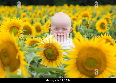 Bébé fille de 10 mois dans un champ de tournesols, France Banque D'Images