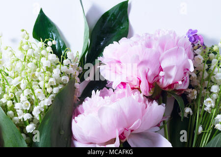 Lilas, pivoines et roses Lilly de la pr. Banque D'Images