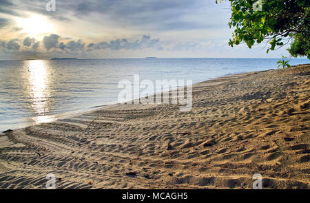 Selingan Turtle Island Banque D'Images