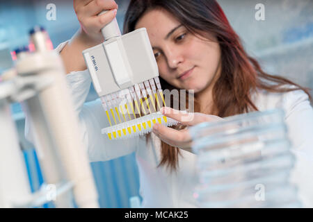 Femme avec technicien de laboratoire en génétique multipipette recherche PCR. Fille étudiante utiliser une pipette. Les jeunes femmes pour l'ADN des échantillons des charges scientifique amplific Banque D'Images
