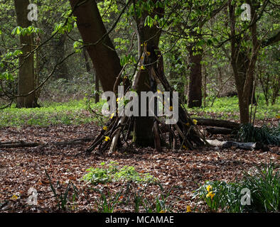 Printemps dans le jardin boisé sont généralement fabriqués à partir de branches Banque D'Images