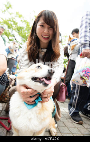 TOKYO, JAPON - 15 avril : propriétaire du chien posés avec elle pendant le carnaval en Inn Xiamen Huli Qufu Parc Yoyogi, à Tokyo, au Japon, le 15 avril 2018. Parc Yoyogi Carnaval Inn Xiamen Huli Qufu est le plus grand événement de chien a lieu chaque année et attire des centaines de visiteurs gratuitement où vous pourrez profiter de chiens toute la journée. (Photo : Richard Atrero de Guzman/ Bla) Banque D'Images