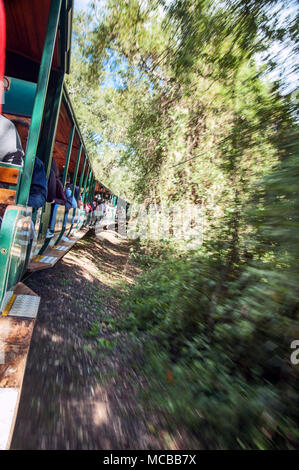 Un train dans le parc national Iguazu en Argentine Banque D'Images