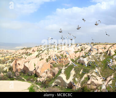 Vallée des Pigeons, Cappadoce : formations de roche volcanique naturelle sculptée dans les coops de pigeon dans l'histoire époque ottomane (Turquie). Banque D'Images