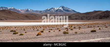 Paysage pittoresque de lagune Canapa (Laguna Canapa) dans la gamme de montagne des Andes près de la télévision sel Uyuni, Bolivie, Amérique du Sud Banque D'Images