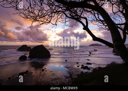 Image en couleur d'un beau coucher de soleil avec vue sur l'océan Pacifique en Californie du Nord. Banque D'Images