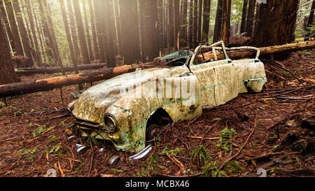 Un véhicule classique abandonnés dans une rouille Californie du nord de la forêt. Banque D'Images