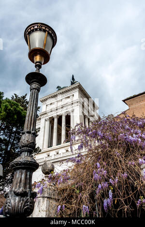 Jusqu'à des étapes de la colline du Capitole, Rome, avec lampe noire poster en face de Vittorio Emanuele II, colonnes et des fleurs au printemps glycine en fleurs. Banque D'Images