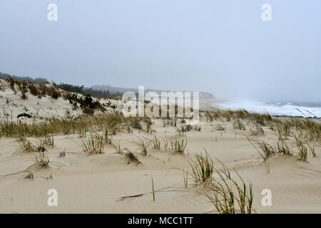 Plage d'orage avec pluie, brouillard, vent et parc provincial de Cap Henlopen, Delaware, Etats-Unis Banque D'Images