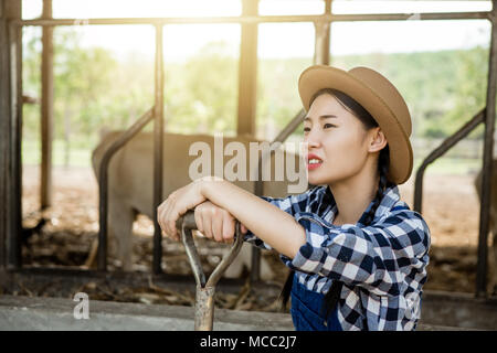 Femme ou un agriculteur avec étable et vaches dans une ferme laitière sur-l'agriculture et l'élevage concept . Banque D'Images