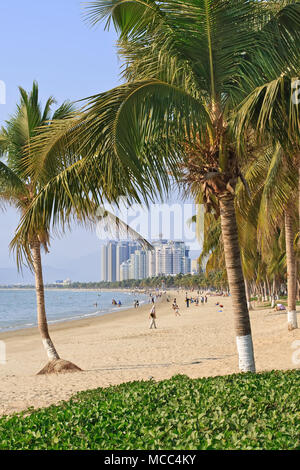 Vue sur une plage tropicale avec des arbres en pal, l'île de Hainan, Sanya, Chine Banque D'Images