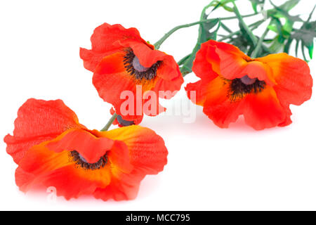 Tissu rouge coquelicot isolé sur fond blanc. Banque D'Images