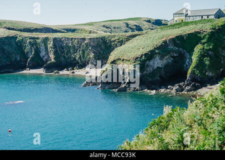 Vue de la Chambre sur les gardes de Skomer Island West Pembrokeshire Wales UK Banque D'Images