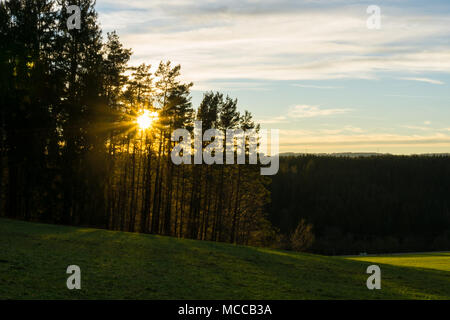 Allemagne, rayons de soleil entre les arbres de la Forêt-Noire Banque D'Images