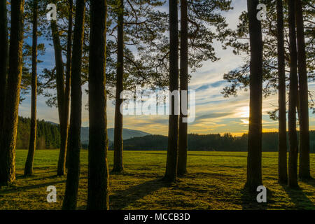 L'Allemagne, le coucher du soleil au milieu du paysage naturel de la Forêt-Noire, près de Fribourg Banque D'Images