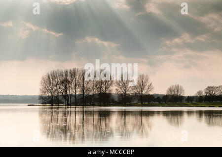 L'image d'une ligne d'arbres par rétroéclairé rayons de soleil tiré sur Rutland Water, Rutland, England, UK Banque D'Images