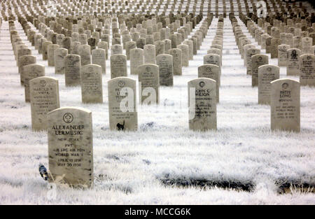 Pierres tombales au Cimetière commémoratif des anciens combattants dans la région de North Seattle, Washington Banque D'Images