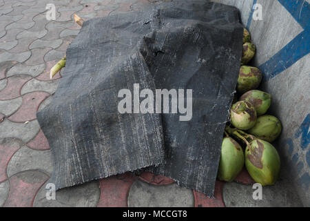 HYDERABAD, INDE - AVRIL 03,2018 coco vert tendre couvert d'un épais tissu noir feuille de déposer sur le trottoir en été à Hyderabad, Inde Banque D'Images